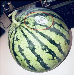 网红吃瓜id,揭秘娱乐圈幕后真相,带你领略明星们的真实生活 第2张 网红吃瓜id,揭秘娱乐圈幕后真相,带你领略明星们的真实生活 第2张