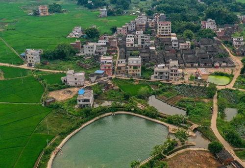 封开南丰镇新闻爆料,聚焦民生热点，共话发展新篇  第1张